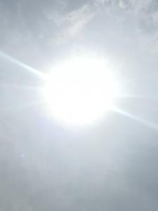 谢家骄子的新书 谢家骄子的新书