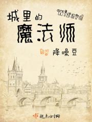 城里的魔法师 城里的魔法师