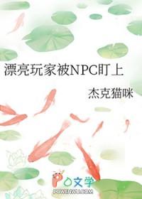 漂亮玩家被NPC盯上 漂亮玩家被NPC盯上
